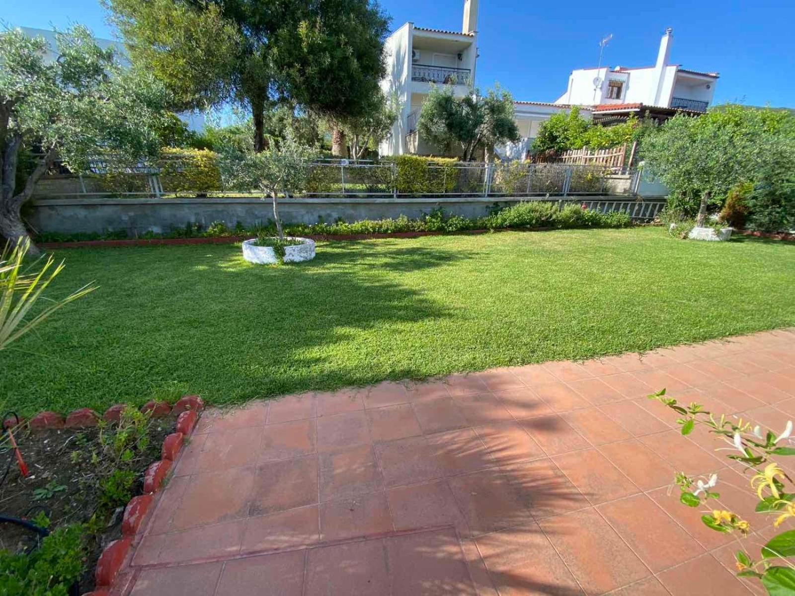 Beautiful Beach House Gerakini Extérieur photo